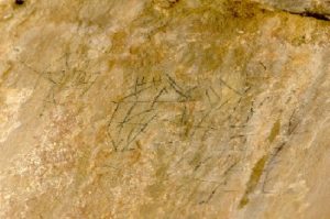 emp_01260_img_02