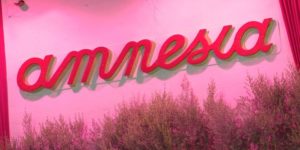amnesia ibiza